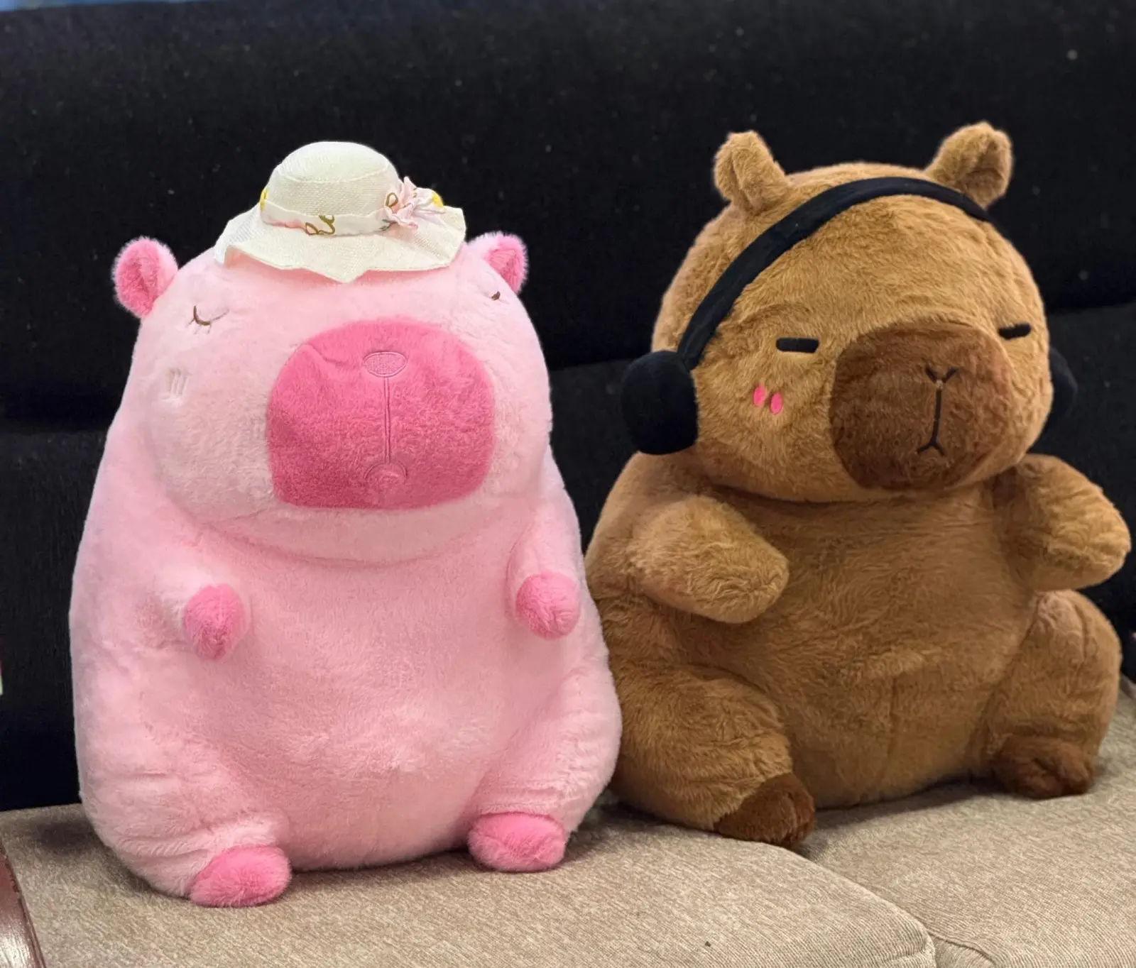 Peluche Con Manta V/Diseños